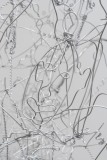 Detail-Wire-Sculpture